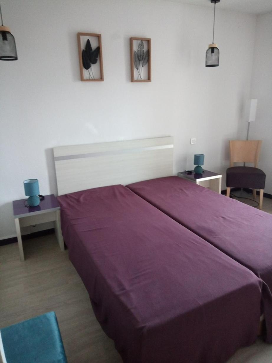 Agreable Studio Familial A Lourdes, Proche Gare Buitenkant foto